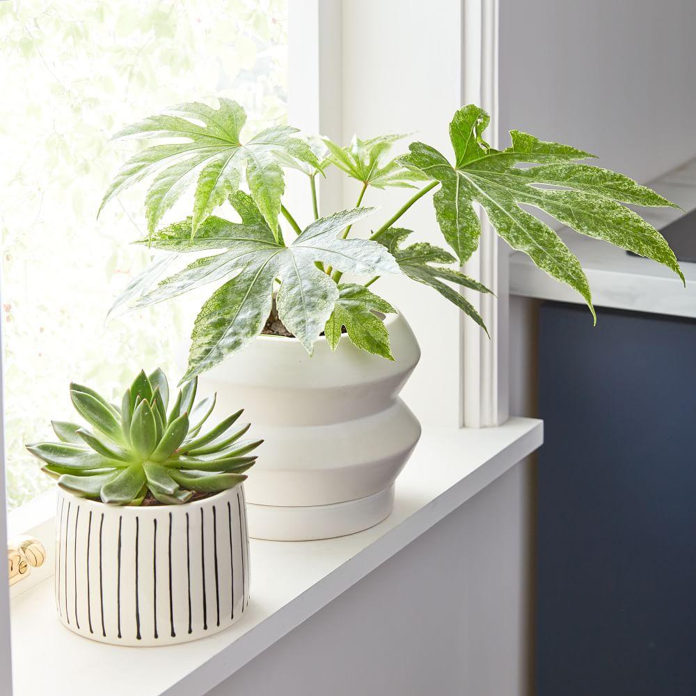 West elm online pots